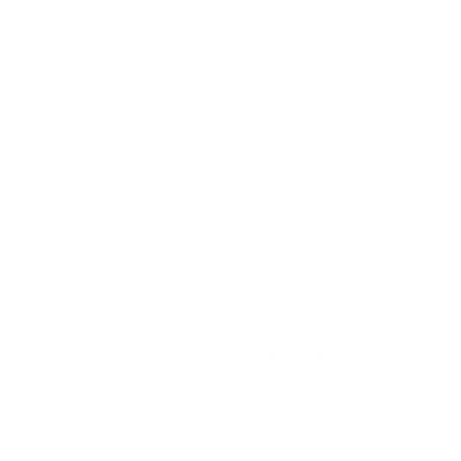 One Last Shot
